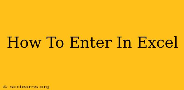 How To Enter In Excel