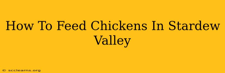 How To Feed Chickens In Stardew Valley