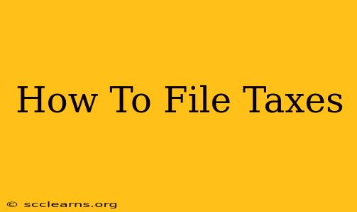 How To File Taxes