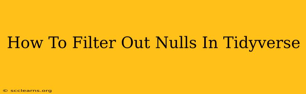 How To Filter Out Nulls In Tidyverse