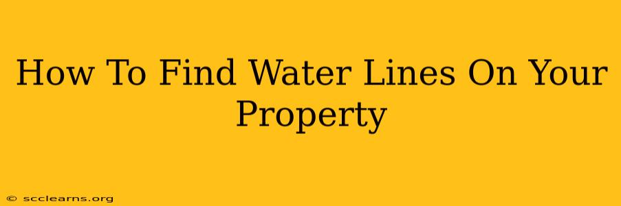 How To Find Water Lines On Your Property