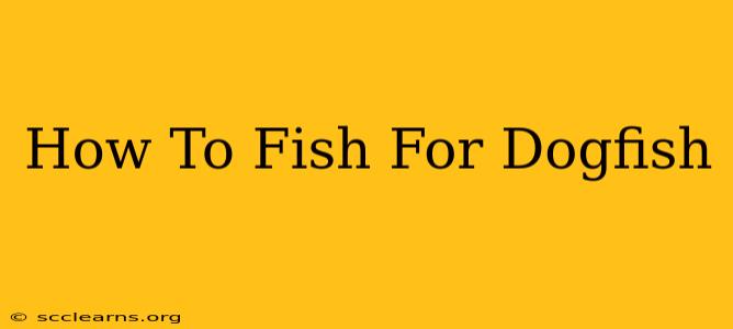 How To Fish For Dogfish