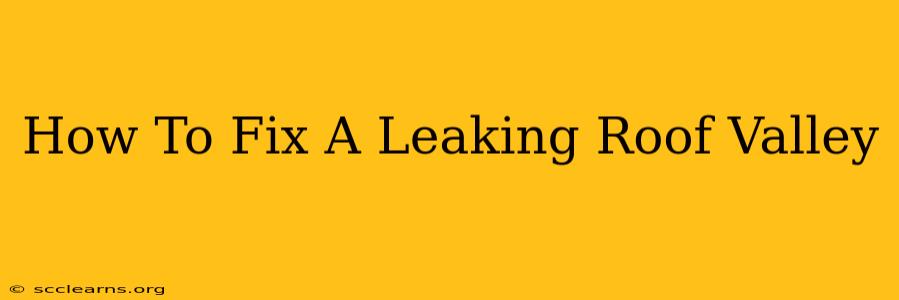 How To Fix A Leaking Roof Valley