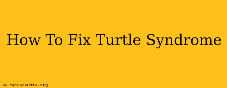 How To Fix Turtle Syndrome