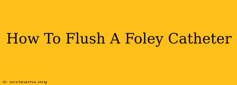 How To Flush A Foley Catheter