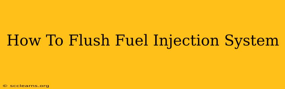 How To Flush Fuel Injection System