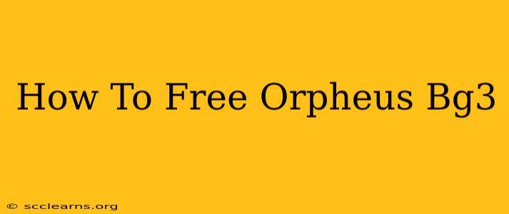 How To Free Orpheus Bg3