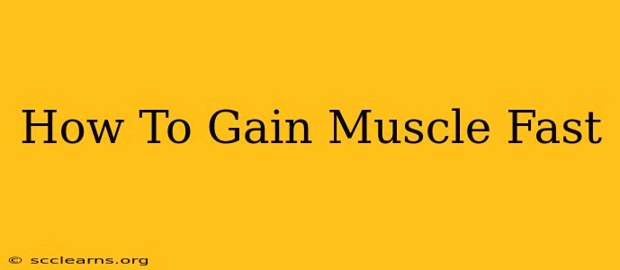 How To Gain Muscle Fast