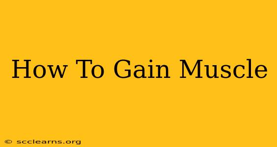 How To Gain Muscle