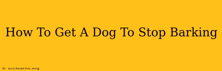 How To Get A Dog To Stop Barking