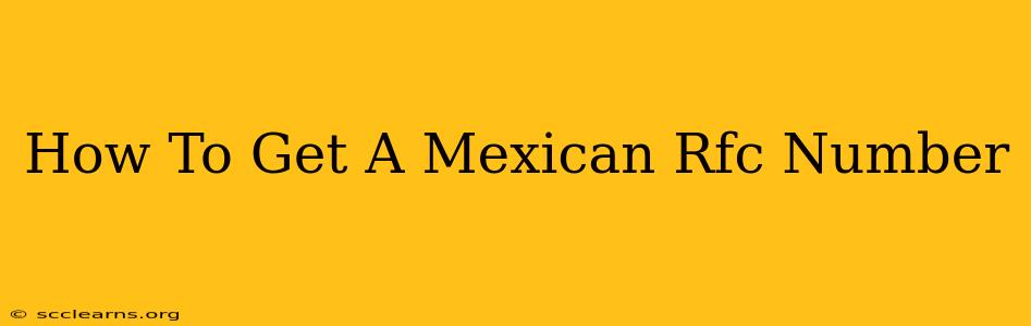 How To Get A Mexican Rfc Number