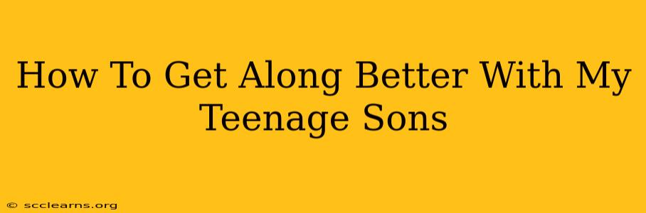 How To Get Along Better With My Teenage Sons