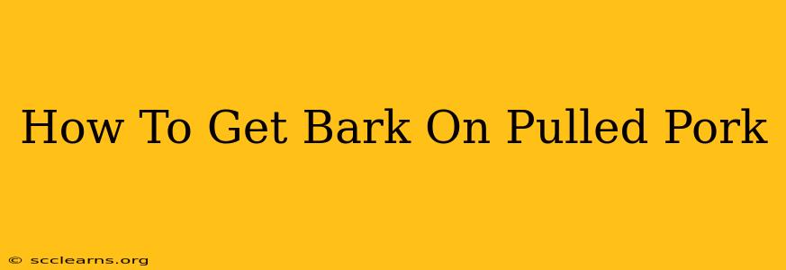 How To Get Bark On Pulled Pork