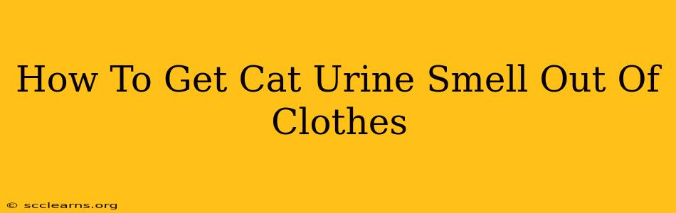 How To Get Cat Urine Smell Out Of Clothes