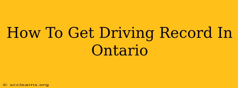 How To Get Driving Record In Ontario