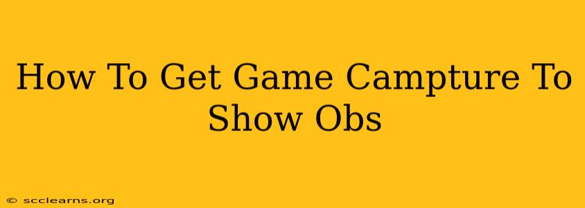 How To Get Game Campture To Show Obs