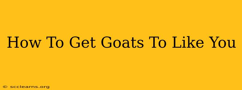 How To Get Goats To Like You