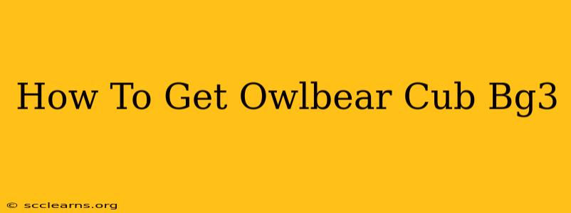 How To Get Owlbear Cub Bg3