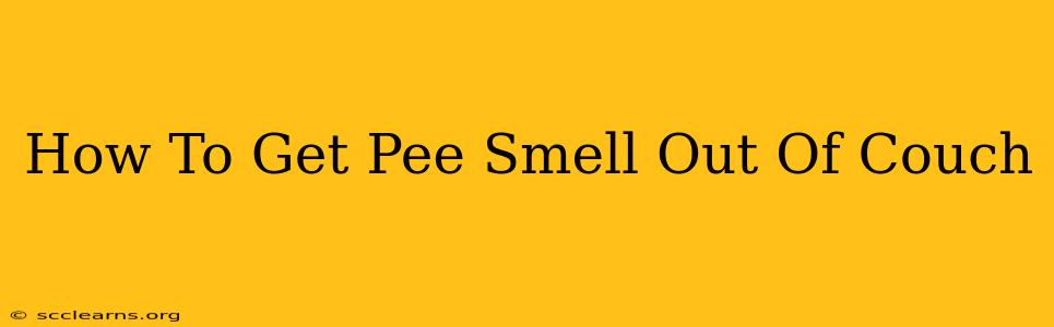 How To Get Pee Smell Out Of Couch