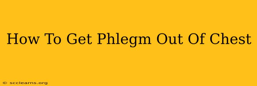 How To Get Phlegm Out Of Chest