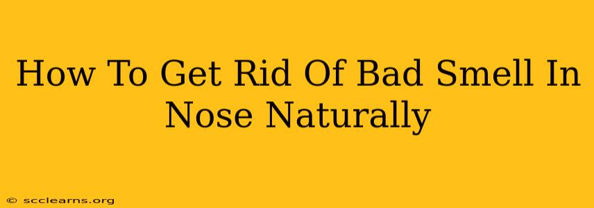 How To Get Rid Of Bad Smell In Nose Naturally