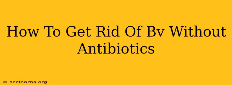 How To Get Rid Of Bv Without Antibiotics