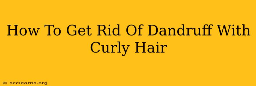 How To Get Rid Of Dandruff With Curly Hair