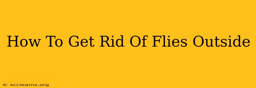 How To Get Rid Of Flies Outside