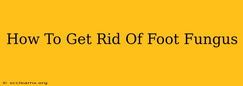 How To Get Rid Of Foot Fungus