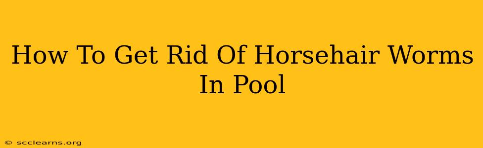 How To Get Rid Of Horsehair Worms In Pool