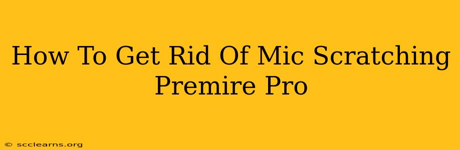 How To Get Rid Of Mic Scratching Premire Pro