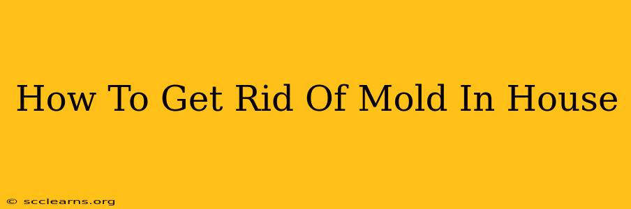 How To Get Rid Of Mold In House