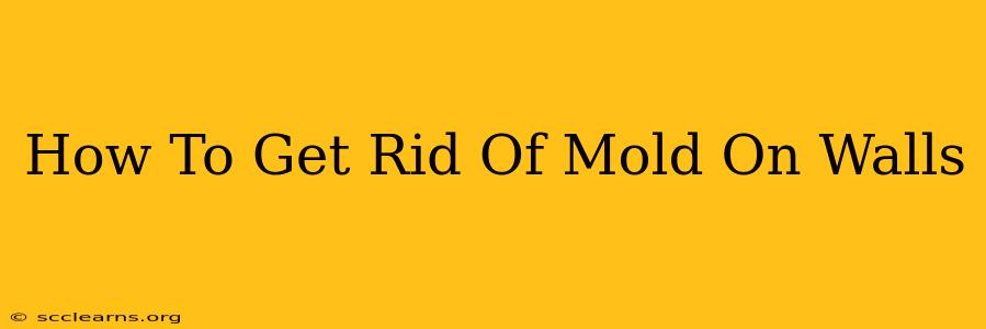 How To Get Rid Of Mold On Walls