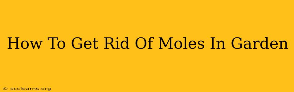 How To Get Rid Of Moles In Garden