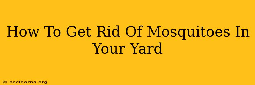 How To Get Rid Of Mosquitoes In Your Yard