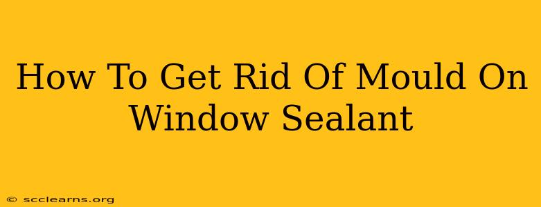 How To Get Rid Of Mould On Window Sealant