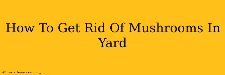 How To Get Rid Of Mushrooms In Yard