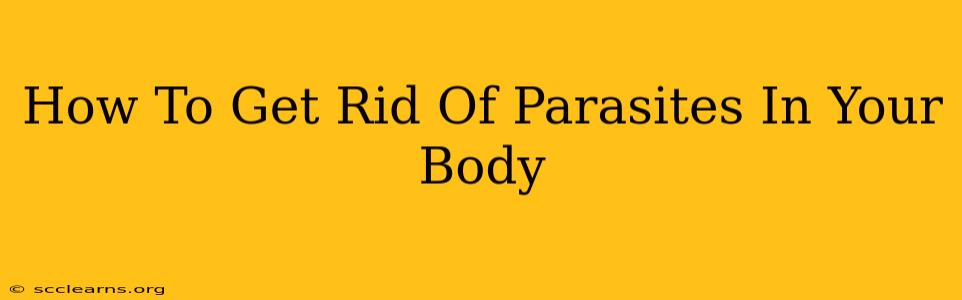 How To Get Rid Of Parasites In Your Body