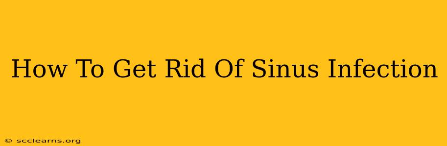 How To Get Rid Of Sinus Infection