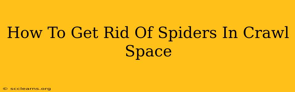 How To Get Rid Of Spiders In Crawl Space