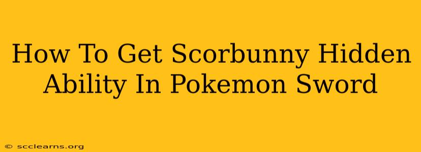 How To Get Scorbunny Hidden Ability In Pokemon Sword