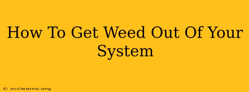 How To Get Weed Out Of Your System