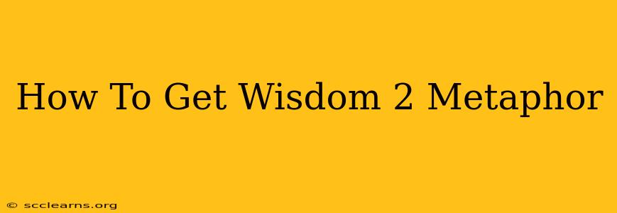 How To Get Wisdom 2 Metaphor