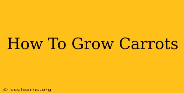 How To Grow Carrots