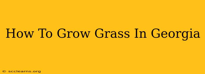 How To Grow Grass In Georgia