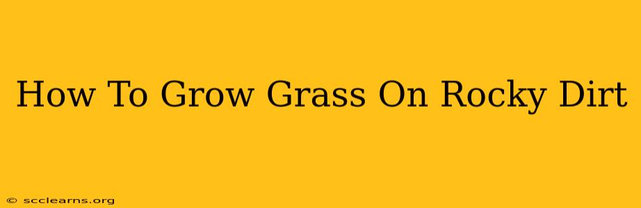 How To Grow Grass On Rocky Dirt