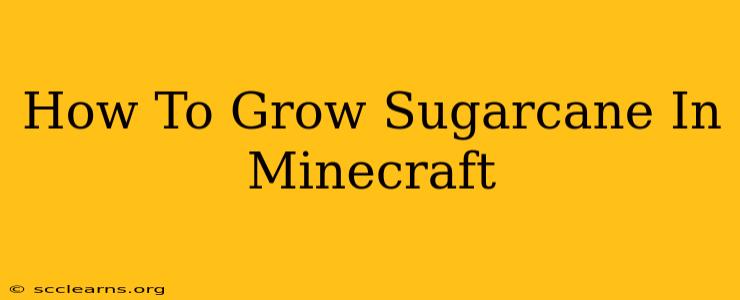 How To Grow Sugarcane In Minecraft