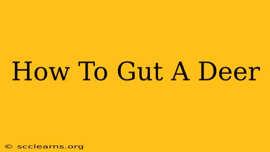 How To Gut A Deer