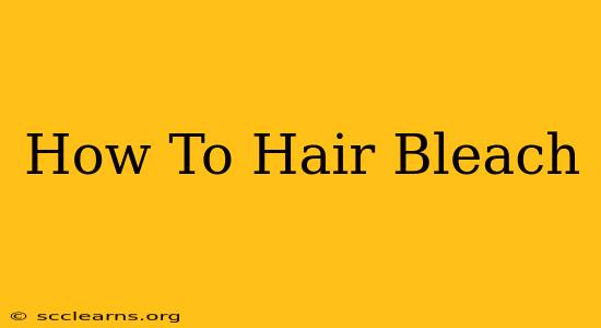 How To Hair Bleach