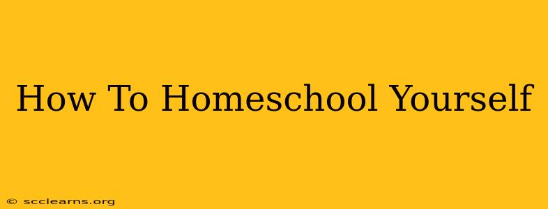 How To Homeschool Yourself